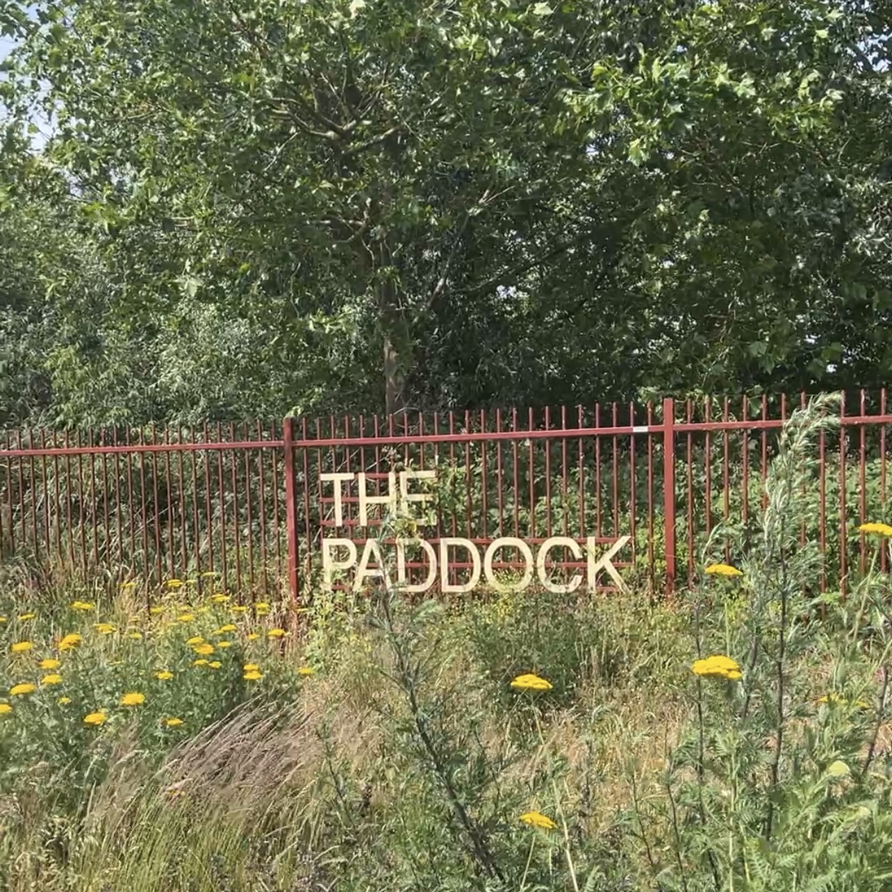 Have Your Say Today - The Paddock - Commonplace